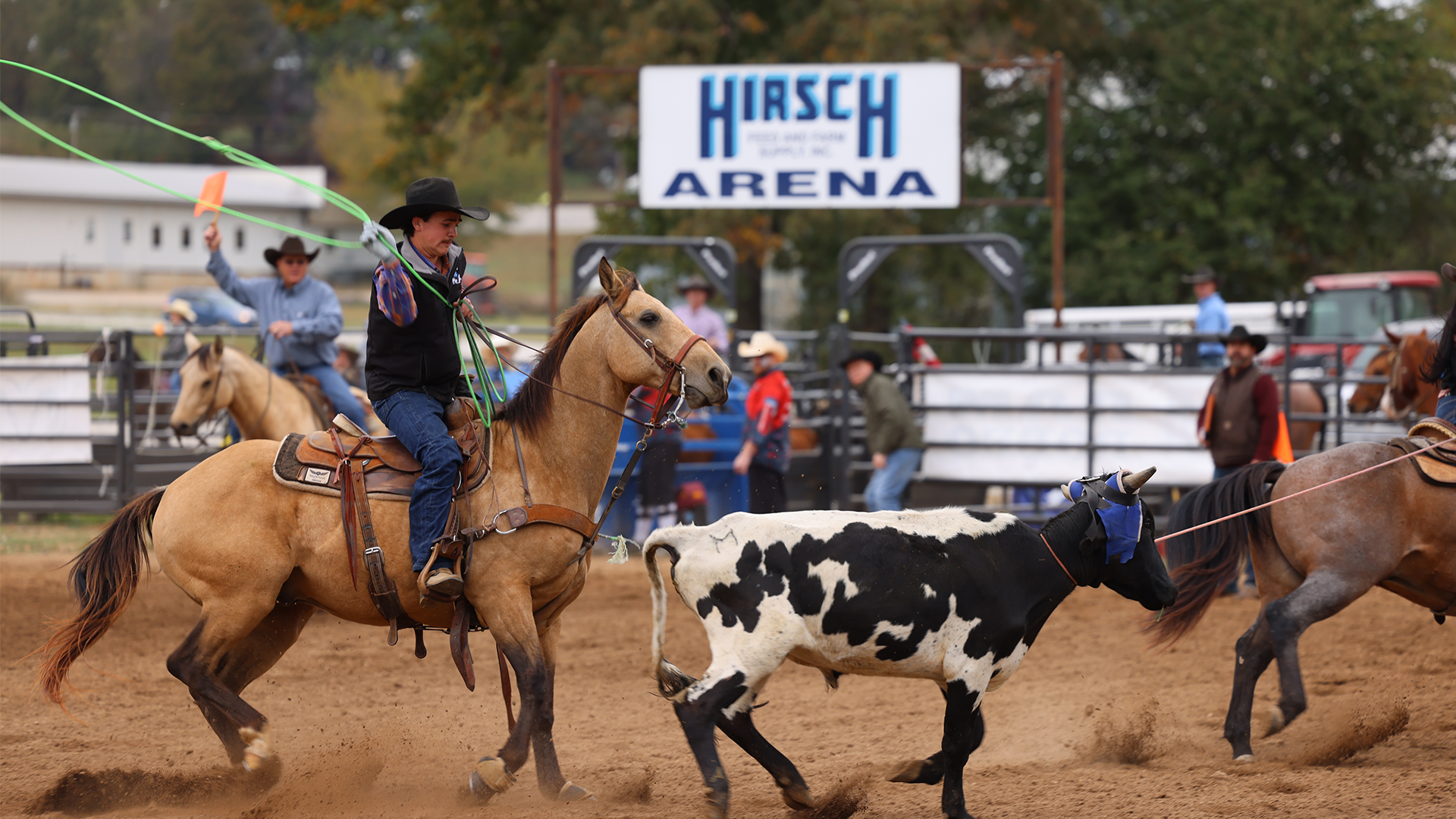 Rodeo horse-rider swinging rope hoping to capture a running calf
